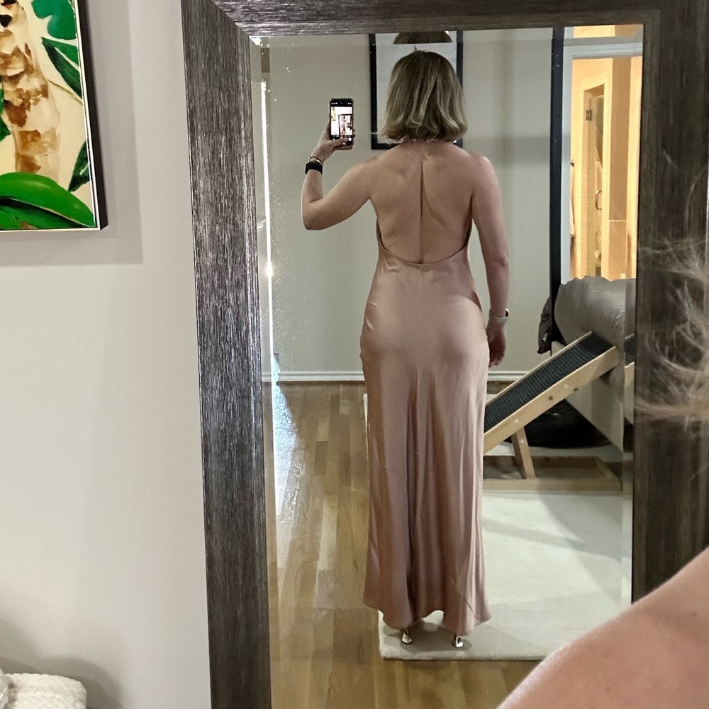 Jasmine Show Me Your MuMu Maxi Dress - Picture 4 of 5